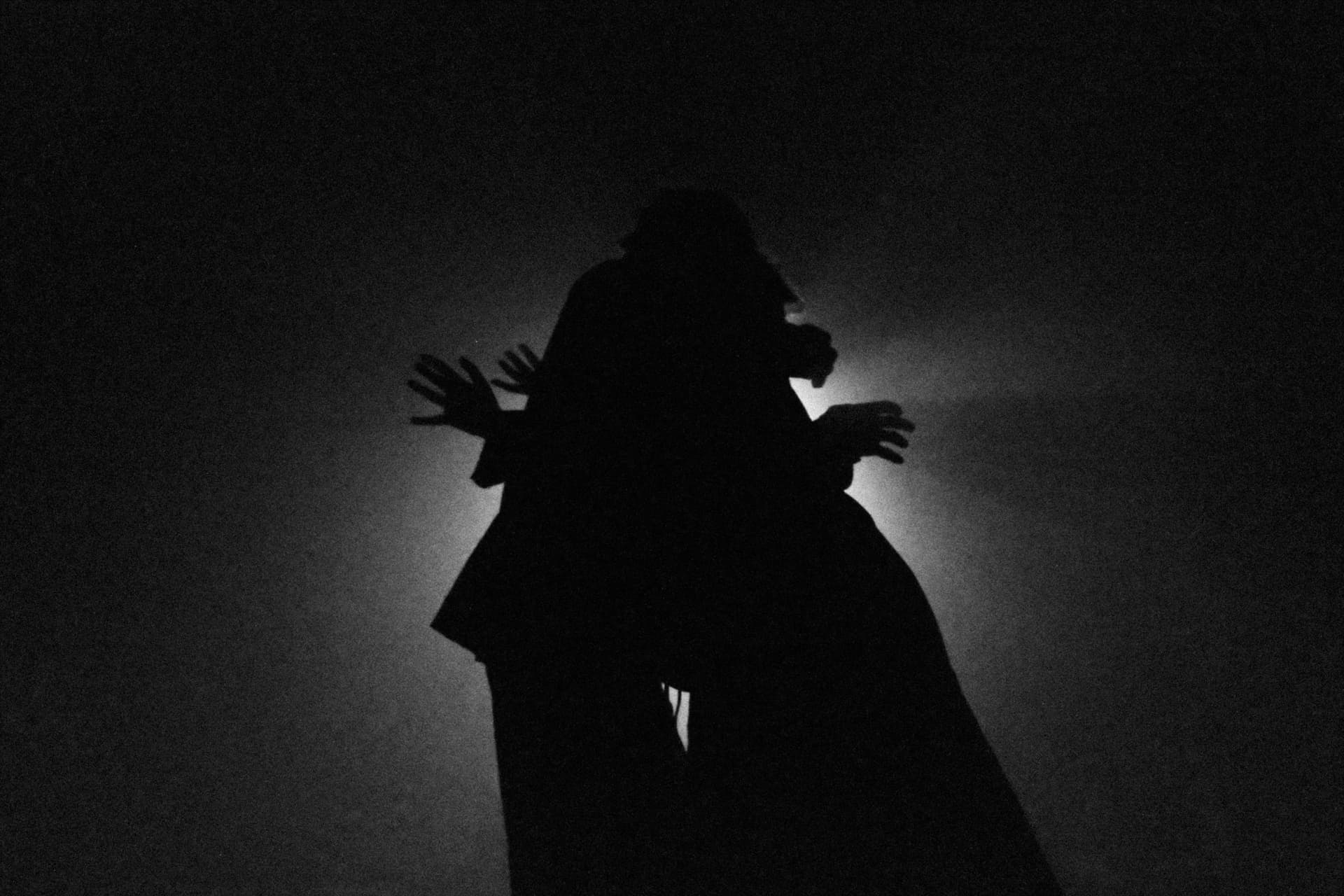 CINEMATICA ORCHESTRA | PERFORMANCE | YAUZA