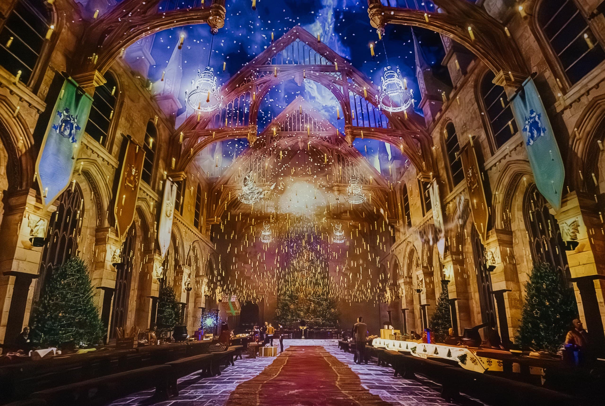 Гарри Поттер: Музыкальное шоу в планетарии